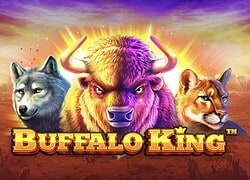 Buffalo King Casino Slot  Shazam Casino Online Canada