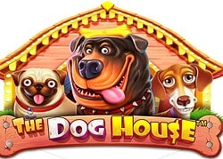 Dog House Casino Game  Shazam Casino Online Canada